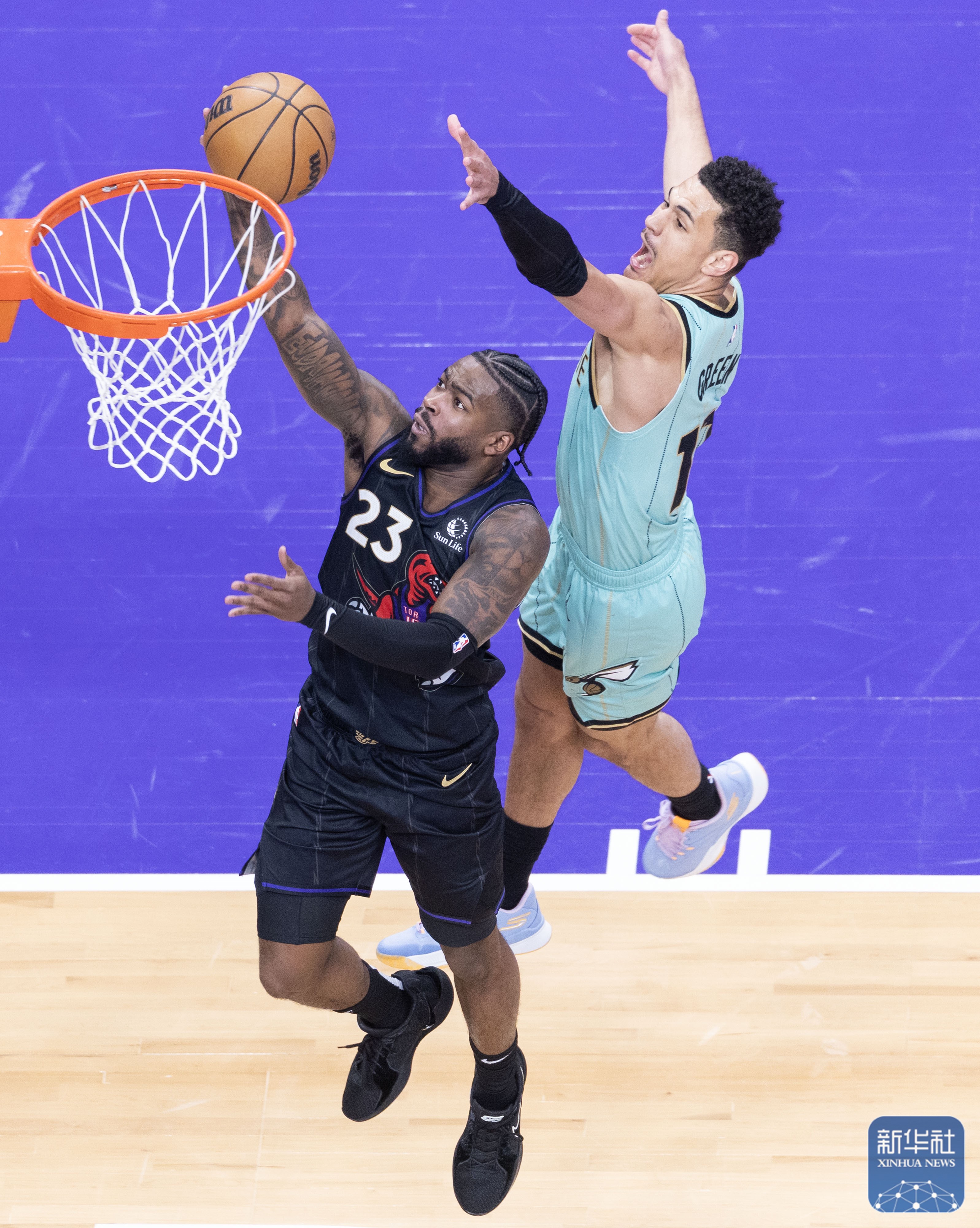 黄蜂队新秀表现优异战胜对手 黄蜂队新秀表现优异战胜对手