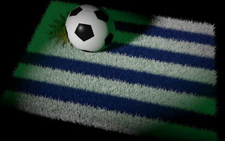 星空体育馆-华夏幸福输球出局，无缘亚冠16强