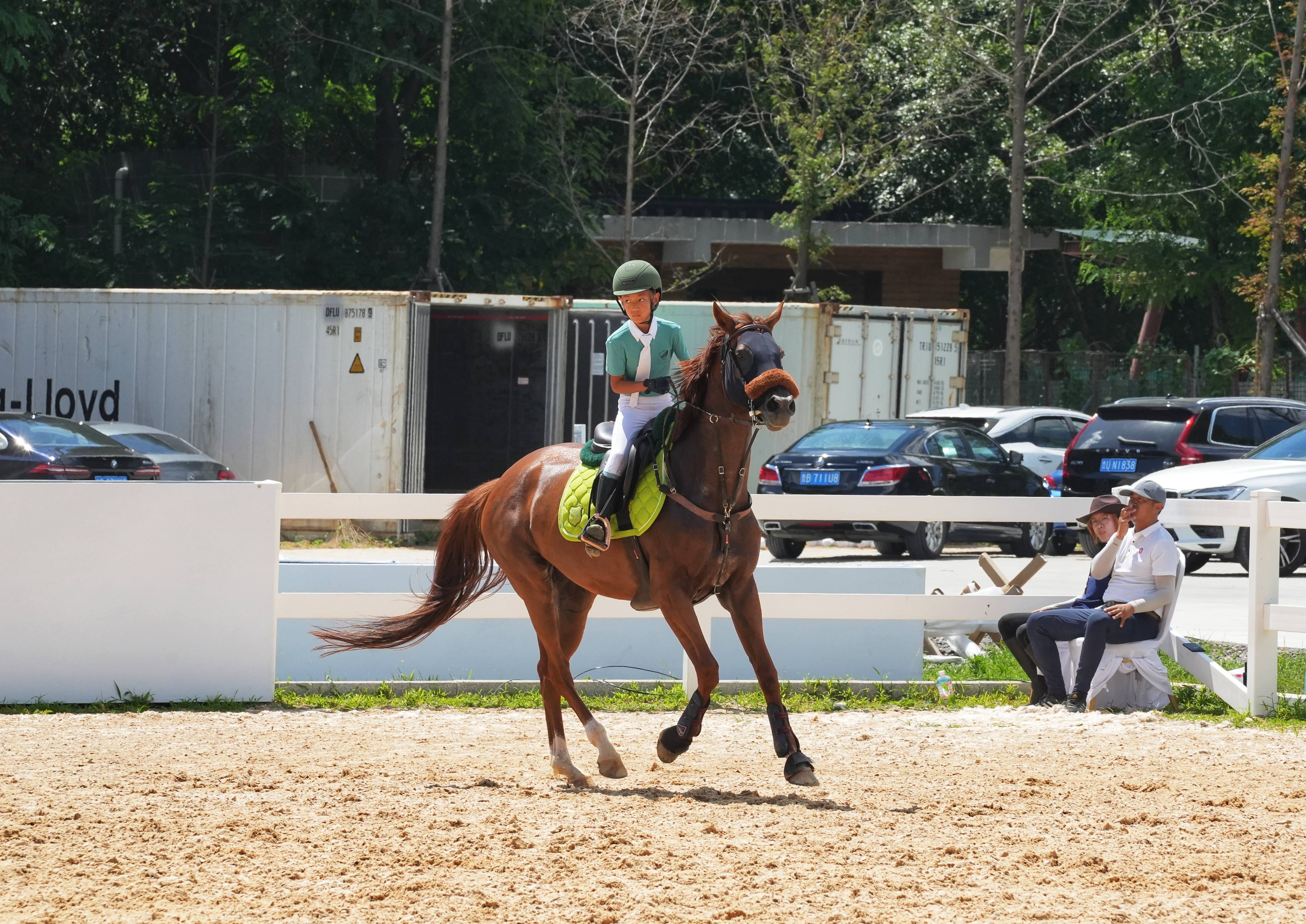 星空体育官方-关于西班牙新星在马术项目中勇夺冠军的信息