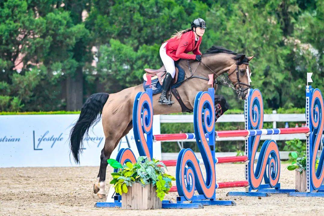 关于西班牙新星在马术项目中勇夺冠军的信息 关于西班牙新星在马术项目中勇夺冠军的信息