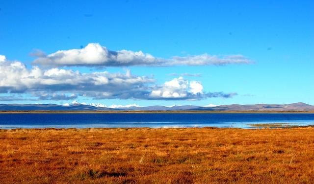 尼斯主场逼平雪山,保持不败的简单介绍 尼斯主场逼平雪山,保持不败的简单介绍